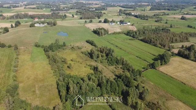 Działka rolna Gowidlino. Zdjęcie 5