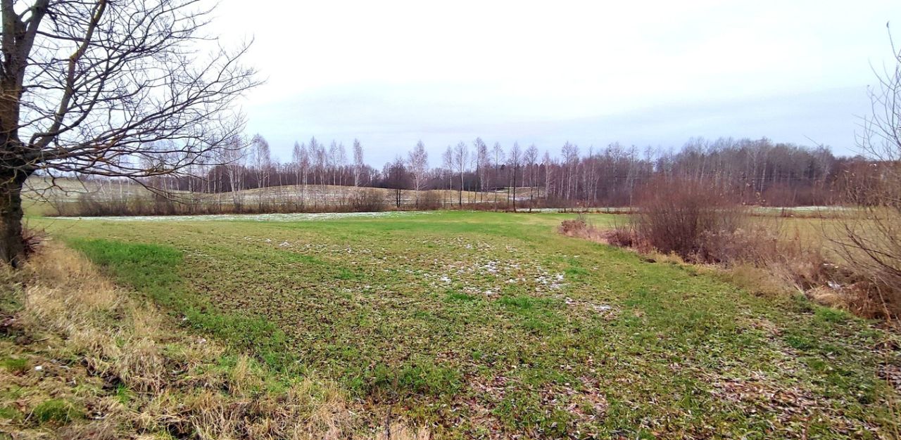 Działka rolno-budowlana Kroszewo. Zdjęcie 5