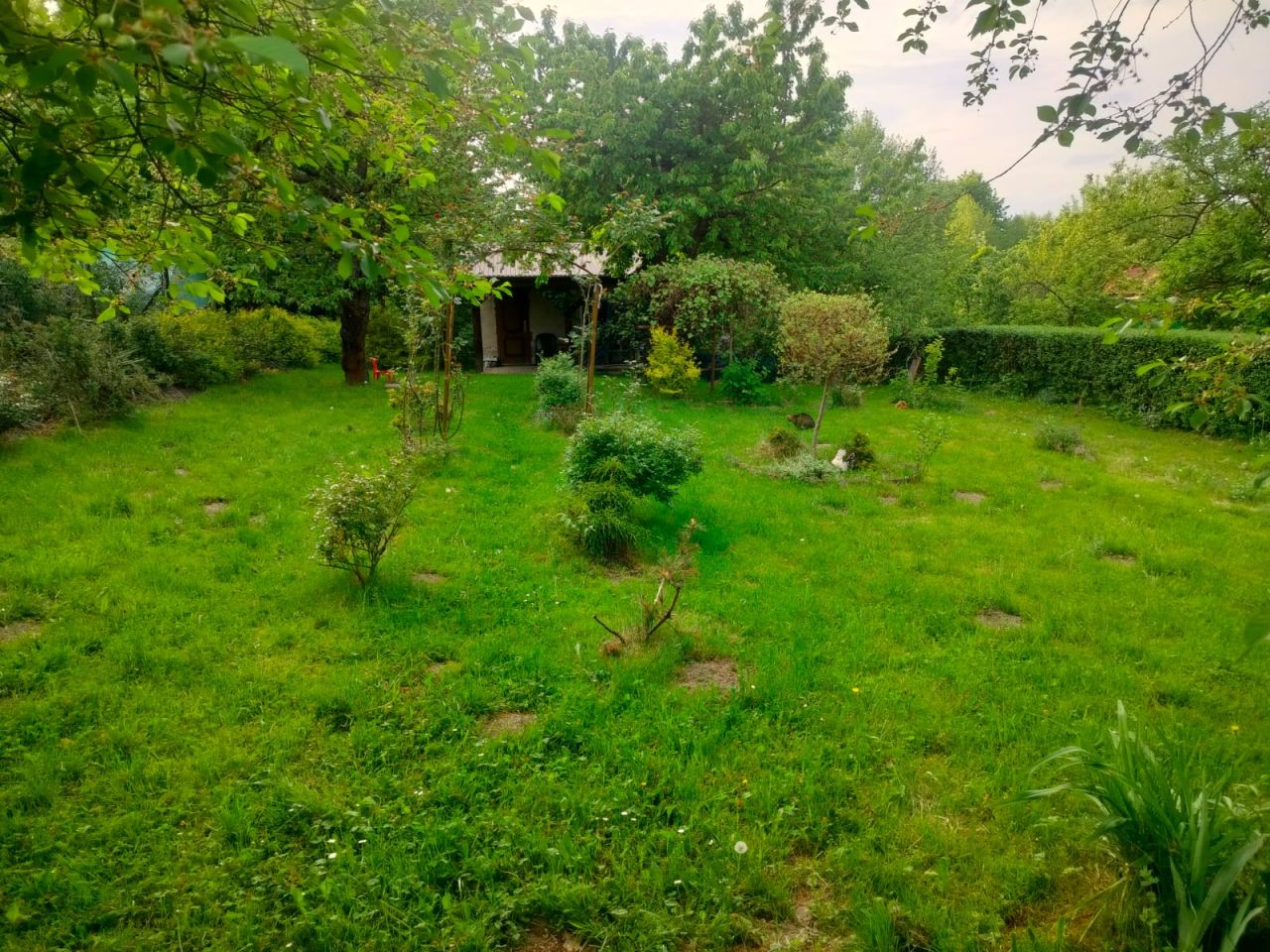 Działka rod Bochnia. Zdjęcie 5