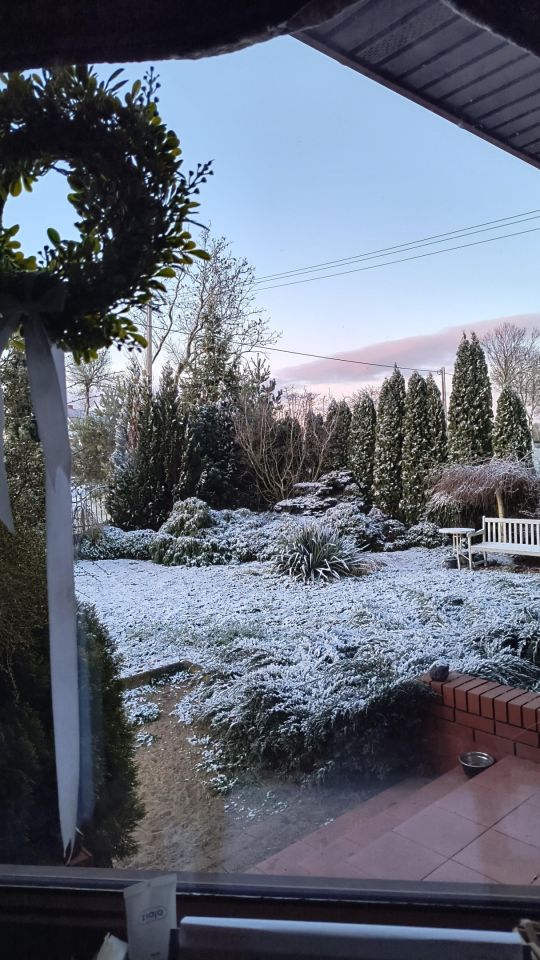 Działka siedliskowa Strachowo. Zdjęcie 3
