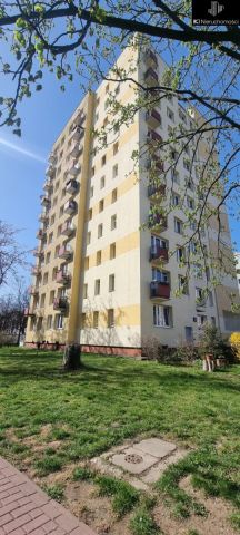 Mieszkanie 2-pokojowe Warszawa Saska Kępa, ul. Międzynarodowa. Zdjęcie 5