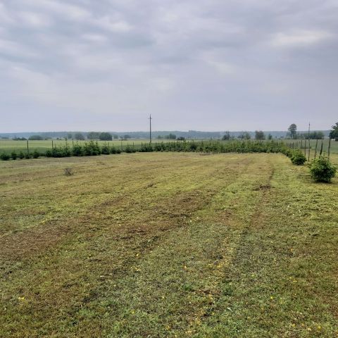 Działka rolno-budowlana Jawidz. Zdjęcie 2