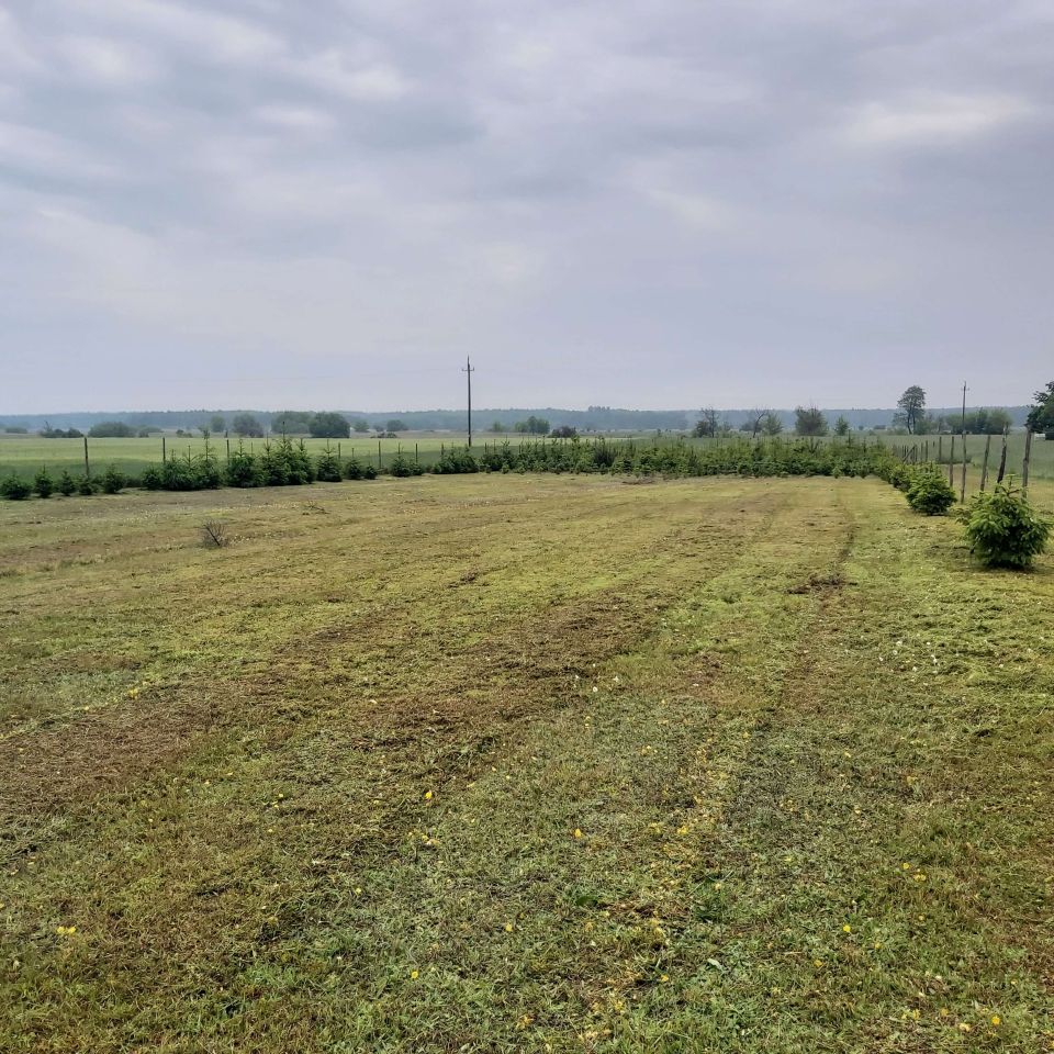 Działka rolno-budowlana Jawidz. Zdjęcie 2