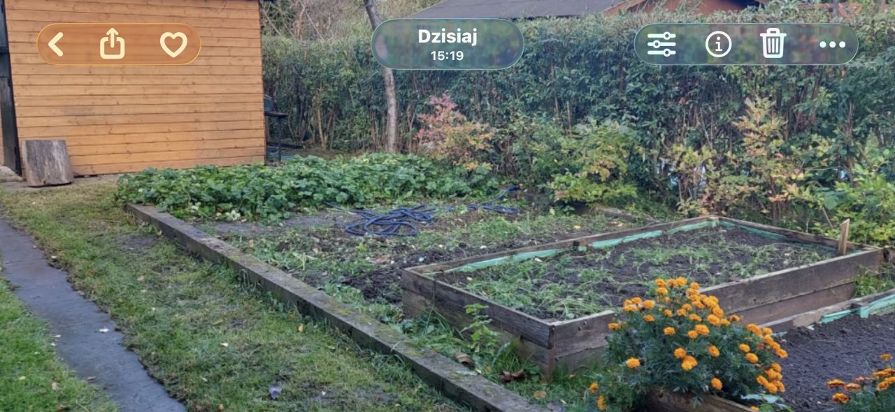 Działka rod Gdańsk Olszynka, ul. Olszyńska. Zdjęcie 11