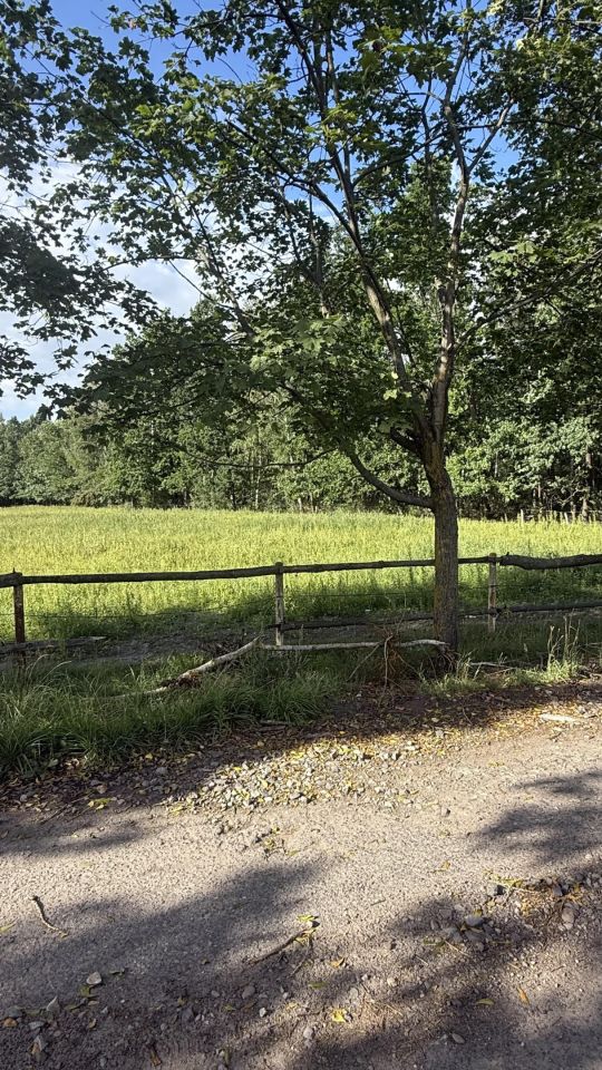 Działka budowlana Janinów, ul. Kanadyjska. Zdjęcie 1