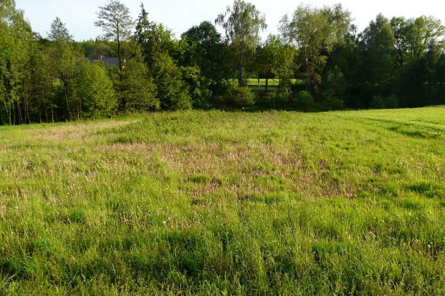 Działka budowlana Mikołów Mokre, ul. Sosnowa. Zdjęcie 1