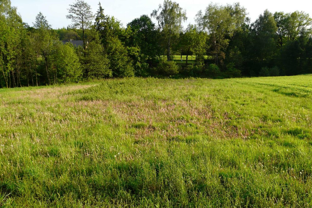 Działka budowlana Mikołów Mokre, ul. Sosnowa