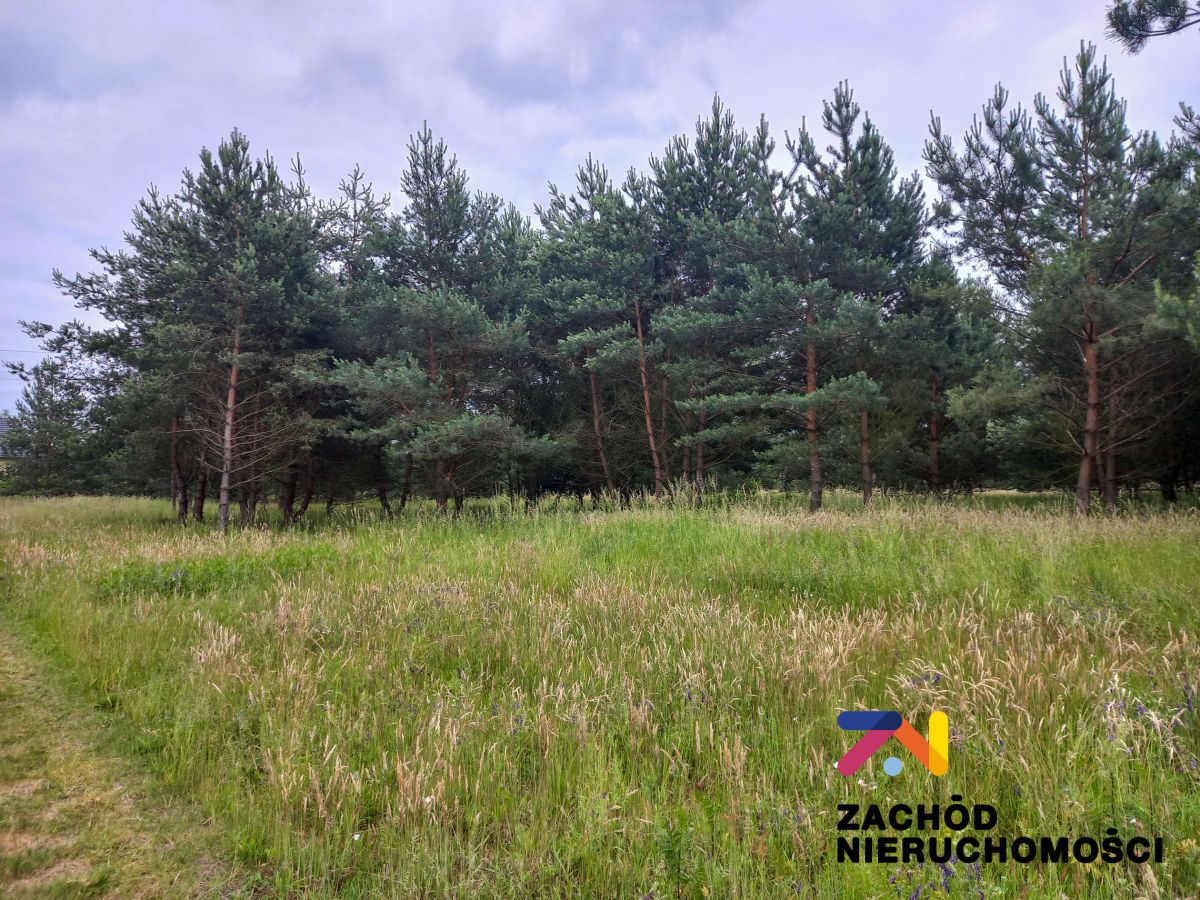 Działka budowlana Zabór. Zdjęcie 4