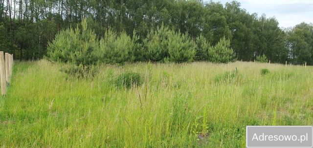 Działka budowlana Siedlec. Zdjęcie 1