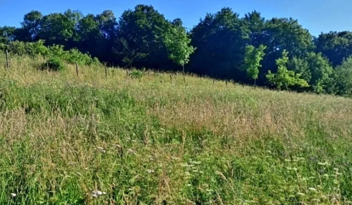 Działka siedliskowa Sadek