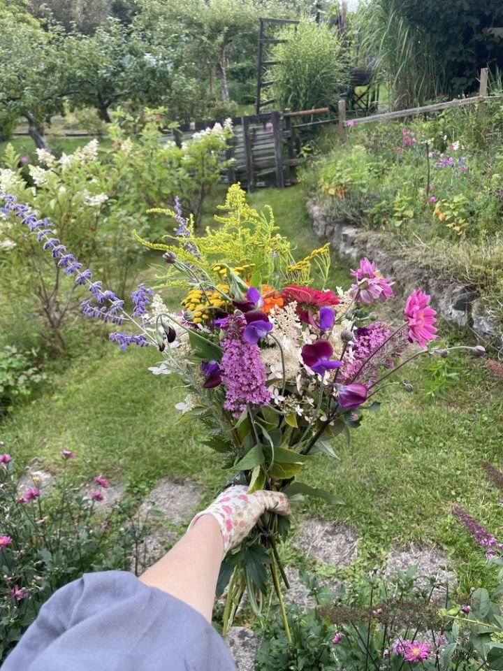 Działka rod Olsztyn. Zdjęcie 6