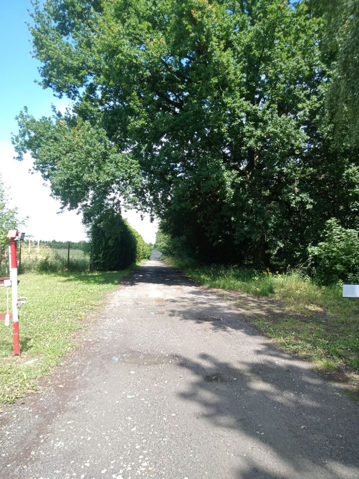Nieruchomość komercyjna Chrósty, Ligocka. Zdjęcie 40