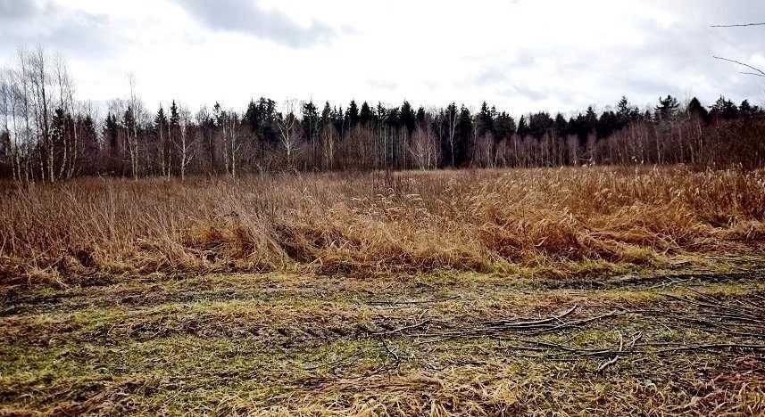 Działka rolna Ciasne. Zdjęcie 2