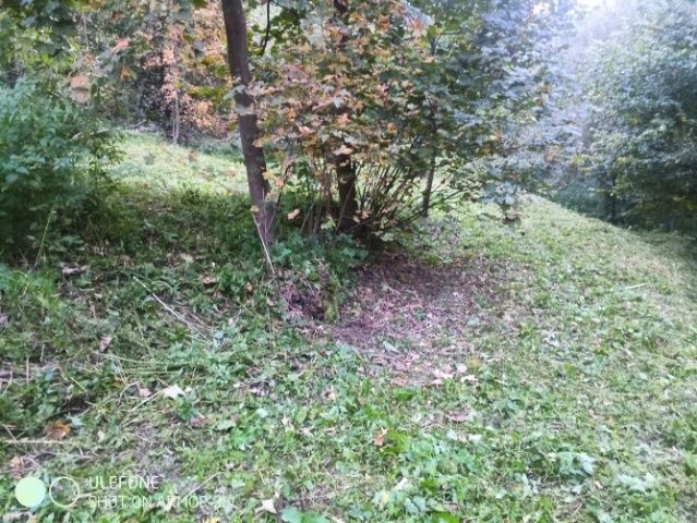 Działka rolno-budowlana Golcowa. Zdjęcie 8