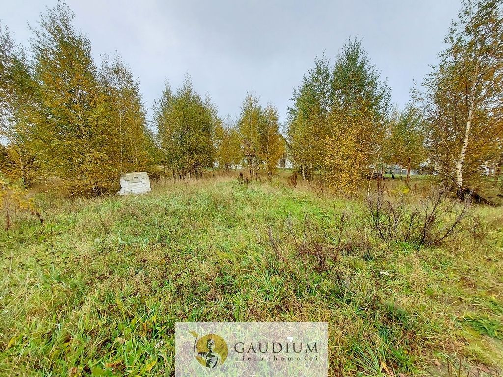 Działka Otomino. Zdjęcie 10