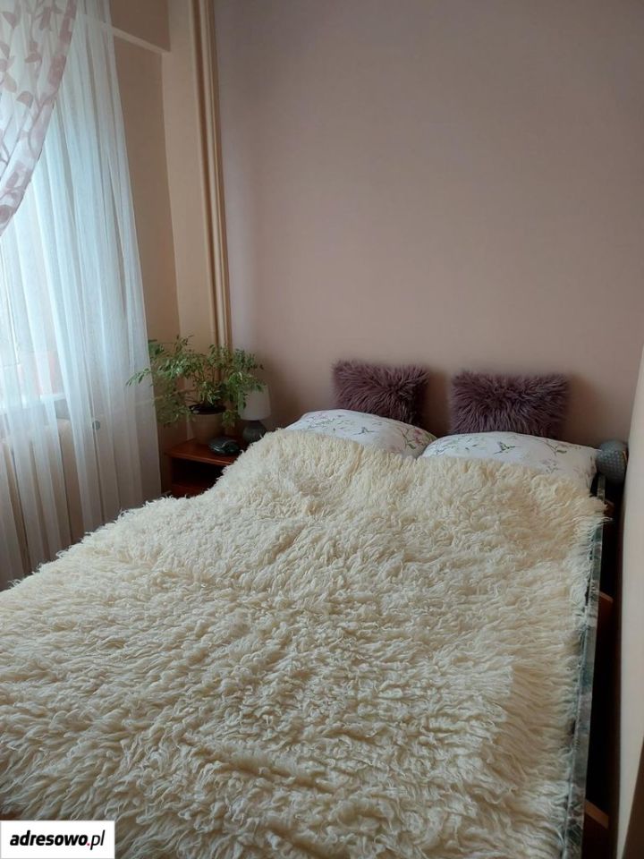 Mieszkanie 3-pokojowe Koszalin Przylesie, ul. Kazimierza Wyki. Zdjęcie 9