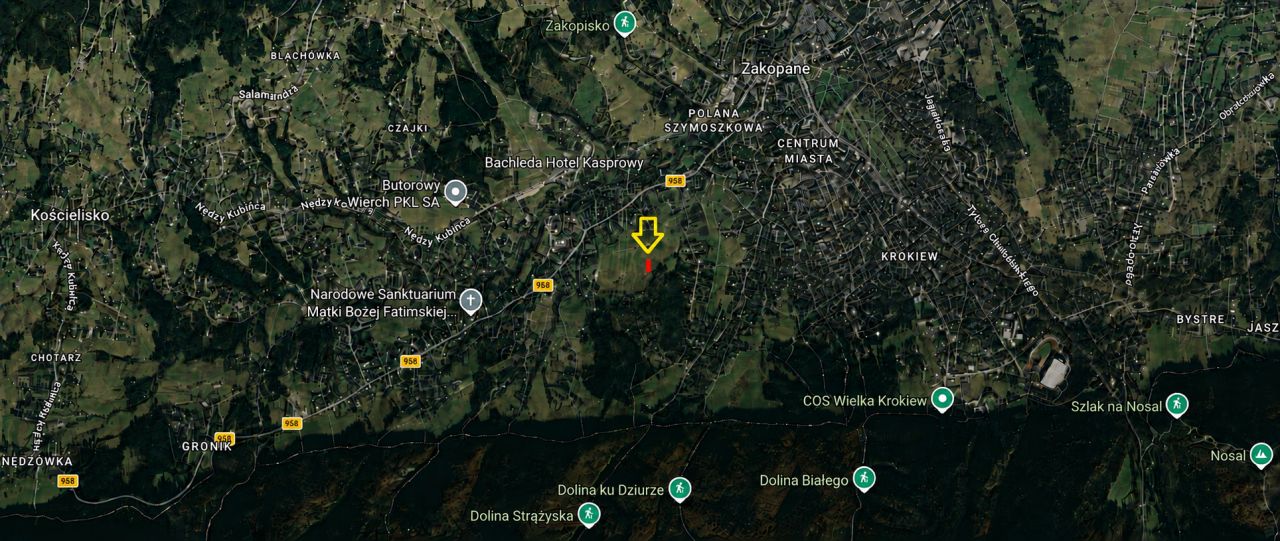 Działka rolna Zakopane, ul. Droga na Wierch. Zdjęcie 6