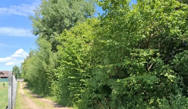 Działka rolno-budowlana Stara Wieś-Kolonia