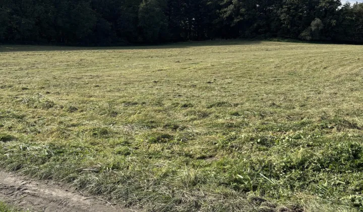 Działka rolna Trzebina