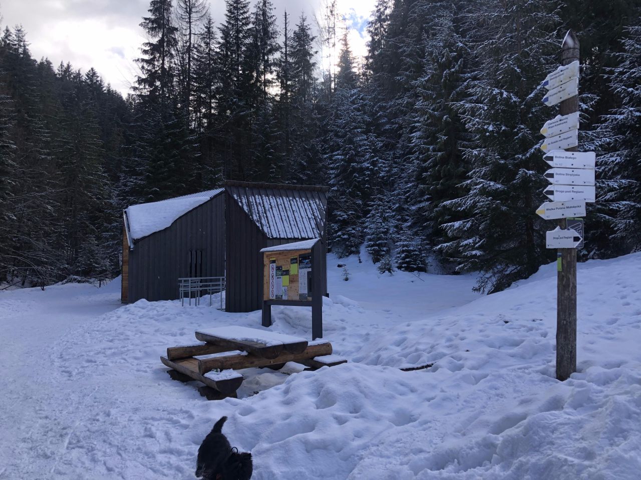 Działka rolna Zakopane, os. Krzeptówki Potok. Zdjęcie 3