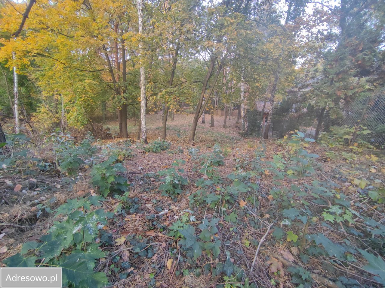 Działka budowlana Łomianki Łomianki-Dąbrowa, ul. Łyżwiarska. Zdjęcie 4