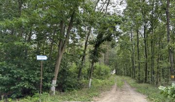 gospodarstwo, 2 pokoje Witoldów