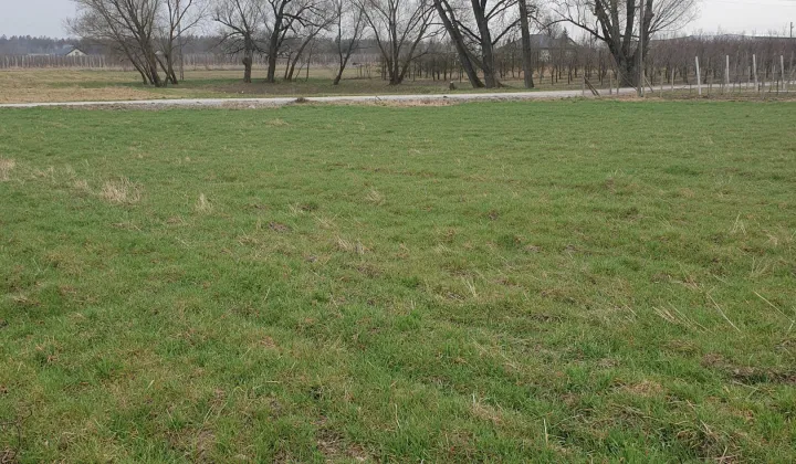 Działka rolno-budowlana Wiatrowiec