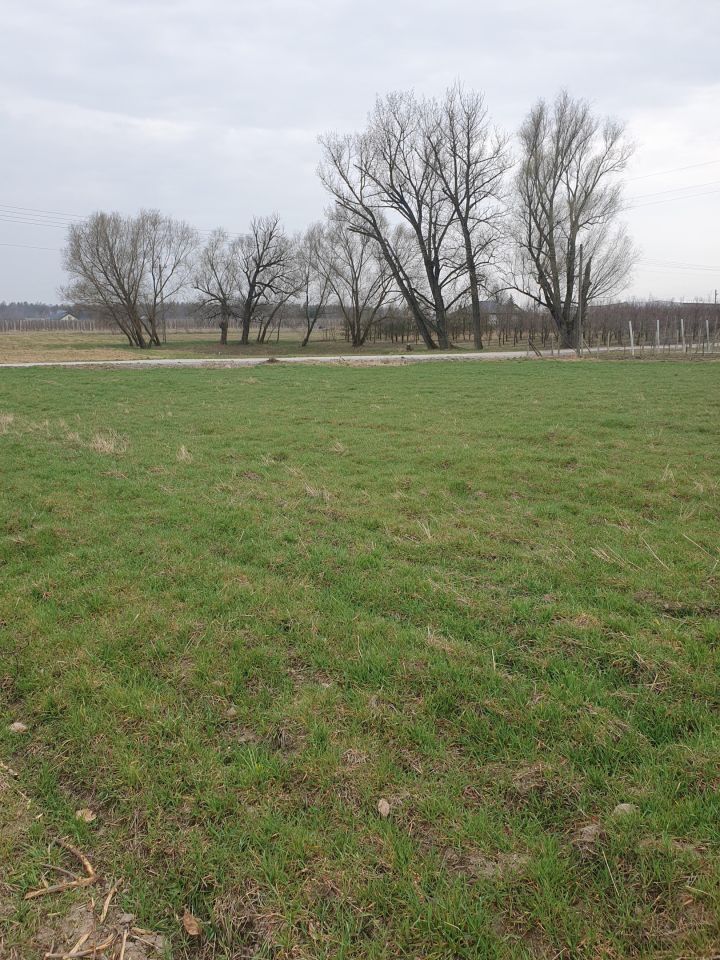 Działka rolno-budowlana Wiatrowiec. Zdjęcie 1