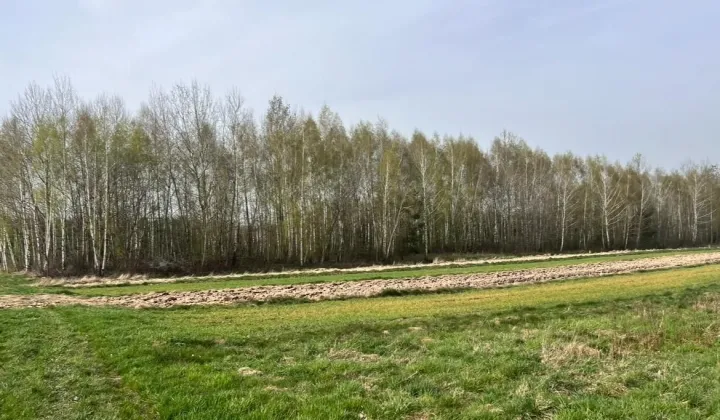 Działka rekreacyjna Baszowice