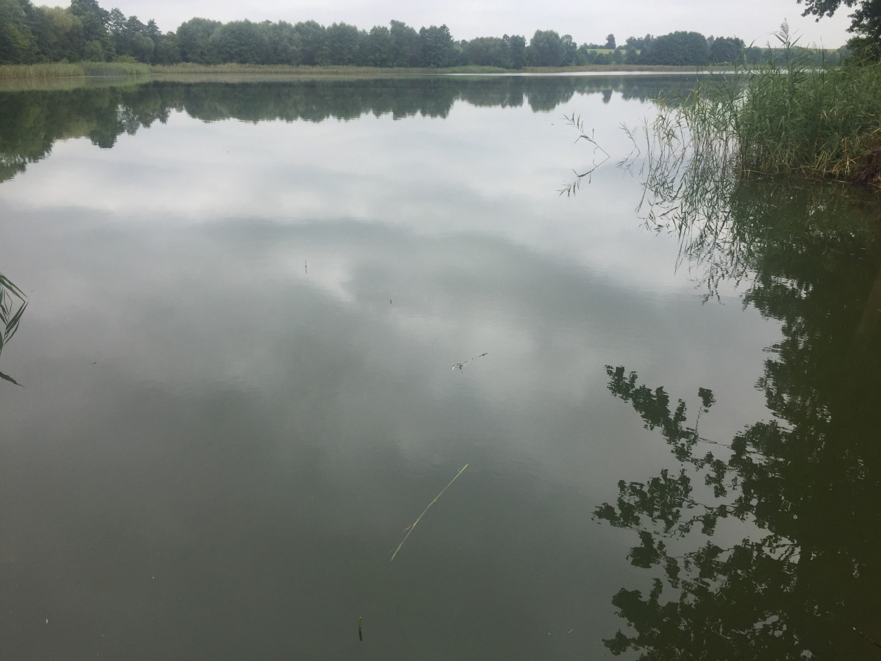 Działka budowlana Jarczechowo. Zdjęcie 9