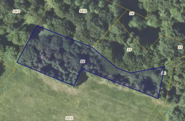 Działka leśna Izdebki. Zdjęcie 1