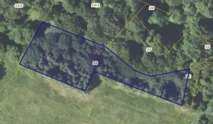 Działka leśna Izdebki