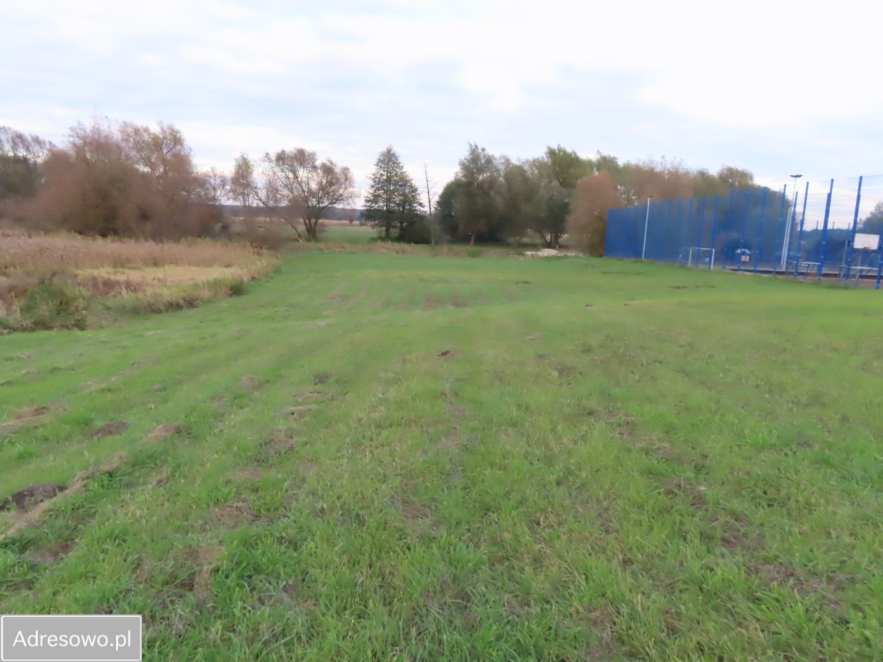 siedlisko Jaszczów. Zdjęcie 8