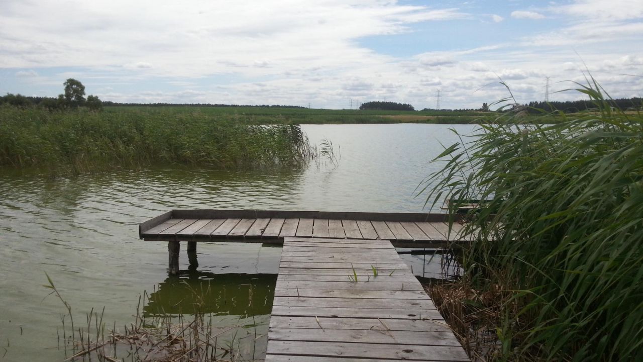 Działka rekreacyjna Kurzątki. Zdjęcie 3