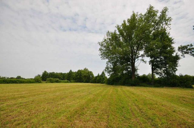 Działka budowlana Piskornia. Zdjęcie 1