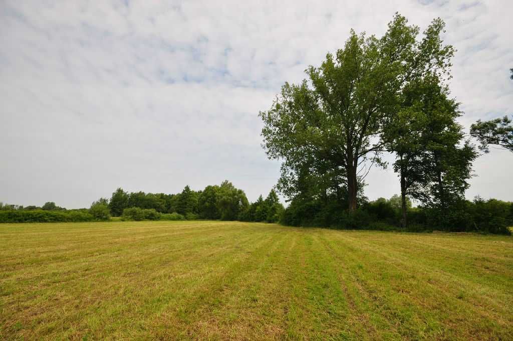 Działka budowlana Piskornia. Zdjęcie 1