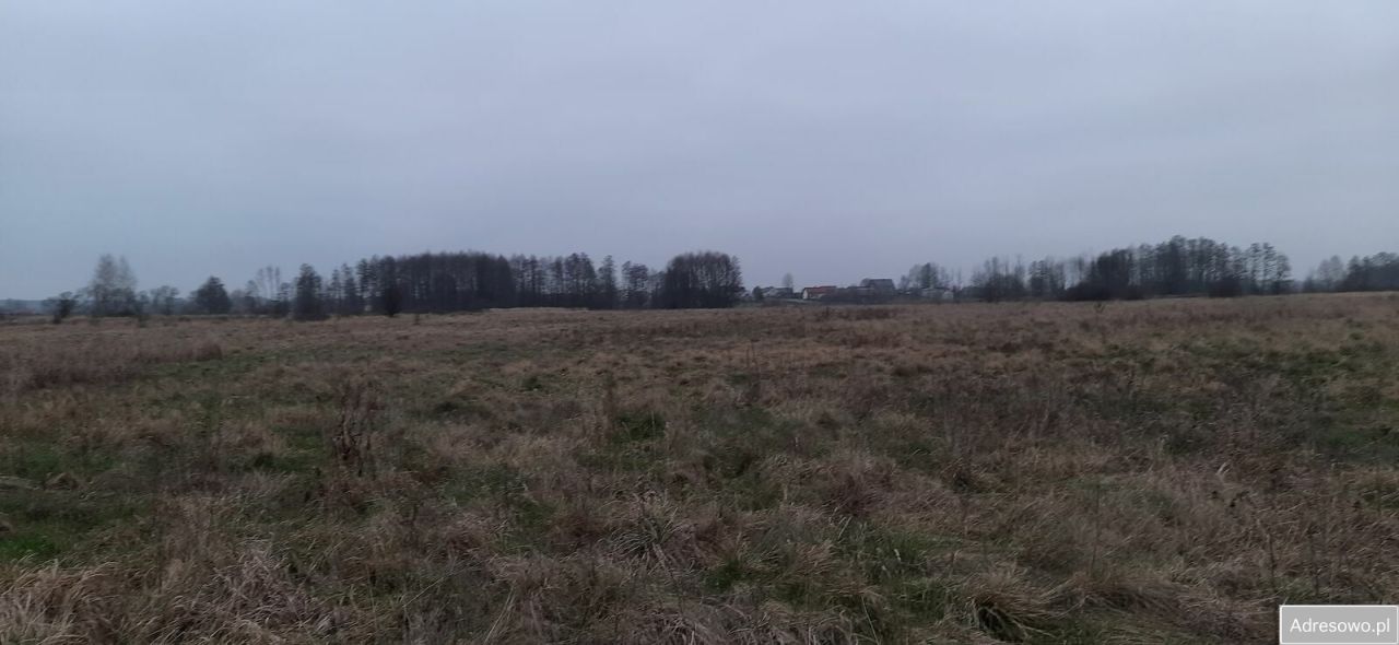 Działka siedliskowa Guzew Nowy Guzew. Zdjęcie 8