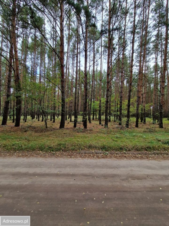 Działka Miastko, ul. Klonowa. Zdjęcie 3