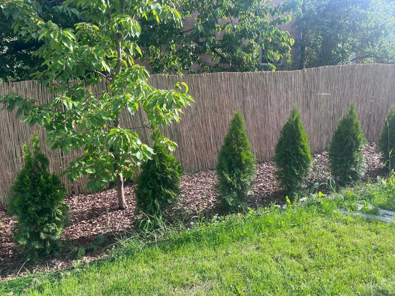 Działka rod Kielce. Zdjęcie 1