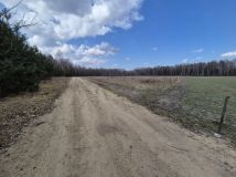 Działka rolno-budowlana Wola Polska. Zdjęcie 3