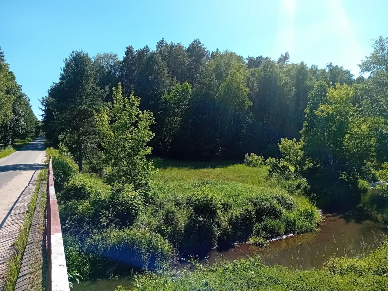 Działka leśna Jabłonowiec. Zdjęcie 1
