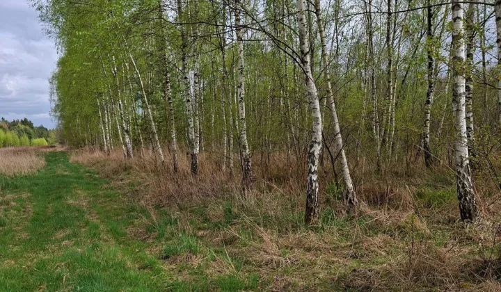 Działka rolna Biały Bór