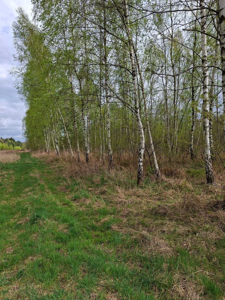 Działka rolna Biały Bór