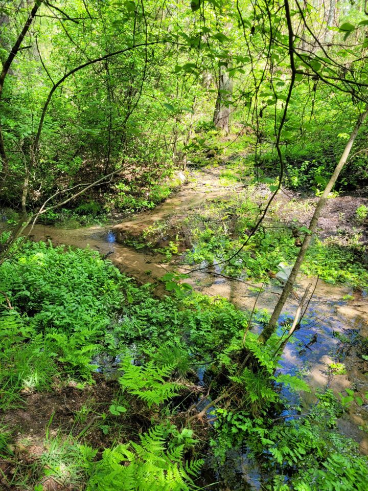 Działka rolno-budowlana Dzierżązna, ul. Graniczna. Zdjęcie 5