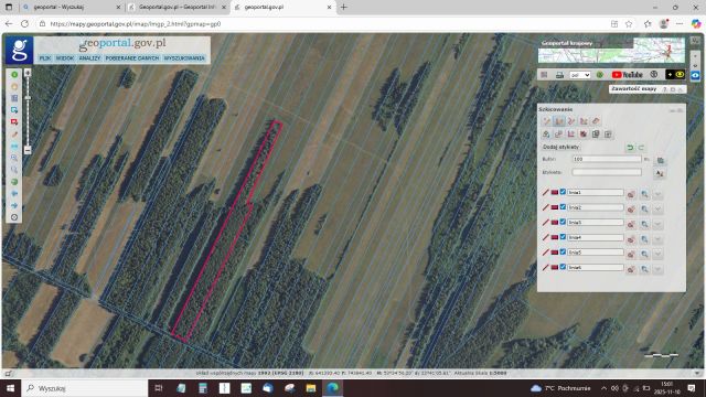 Działka leśna Kapice. Zdjęcie 1