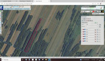 Działka leśna Kapice