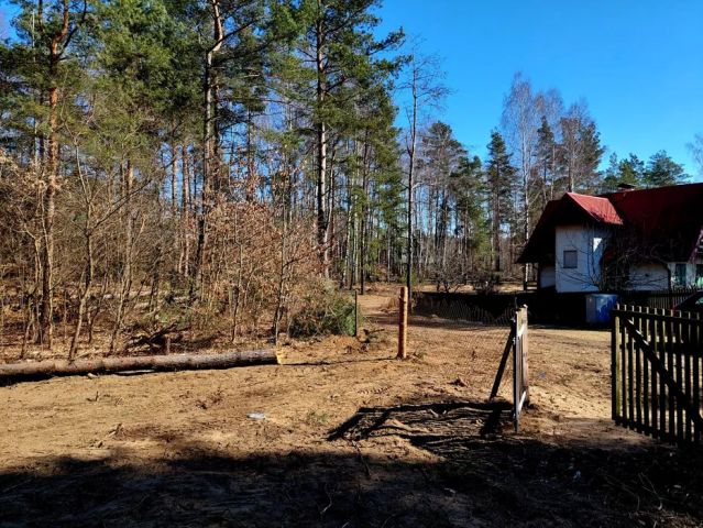 Działka rekreacyjna Kotkowo. Zdjęcie 1