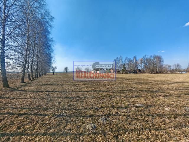 Działka budowlana Chlewiska. Zdjęcie 1