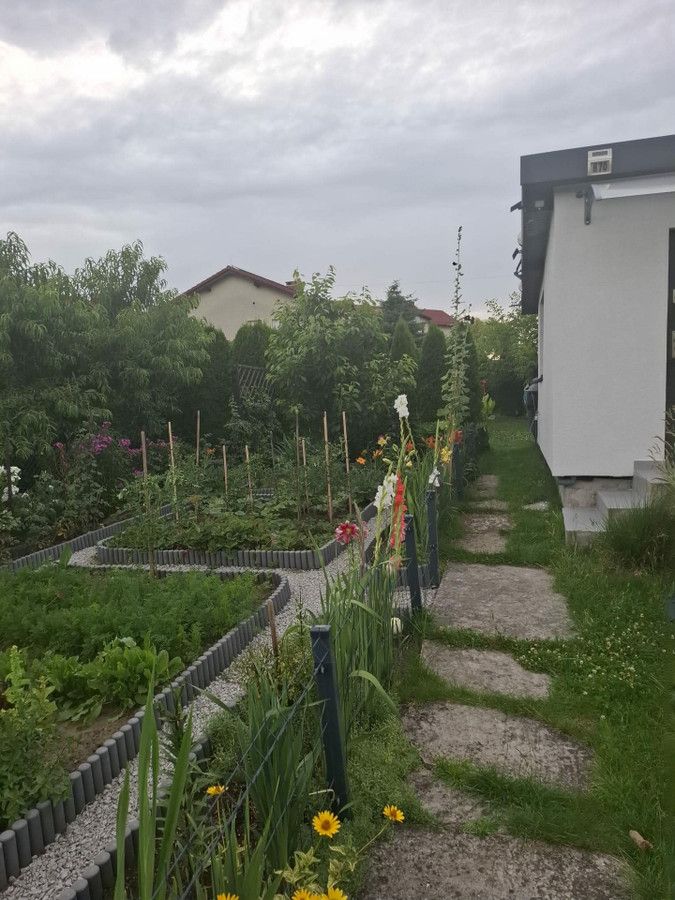 Działka rod Będzin, ul. Grabowa. Zdjęcie 9