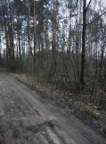 Działka rolna Kąck, ul. Partyzantów. Zdjęcie 2